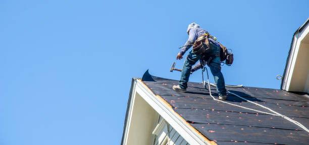 Best Roof Gutter Cleaning  in Cahokia, IL
